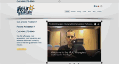 Desktop Screenshot of moldwranglers.com